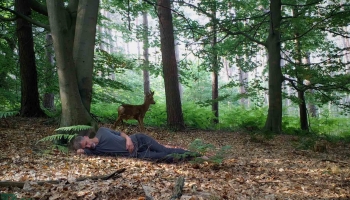 Le dormeur éveillé