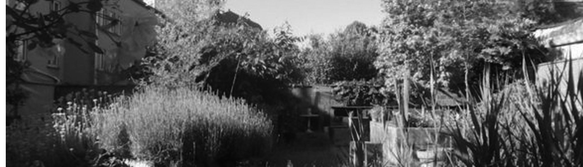 86_t_H.Sortir-de-ce-jardin.jpg