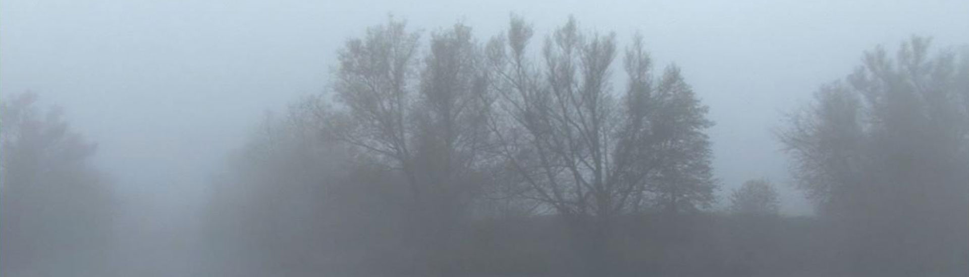 922_t_andrei-tarkovski-site-banner.jpg